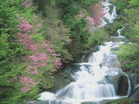 La terre est si belle