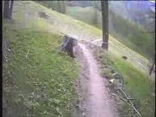 TRIBE 10000 samedi apres midi 1