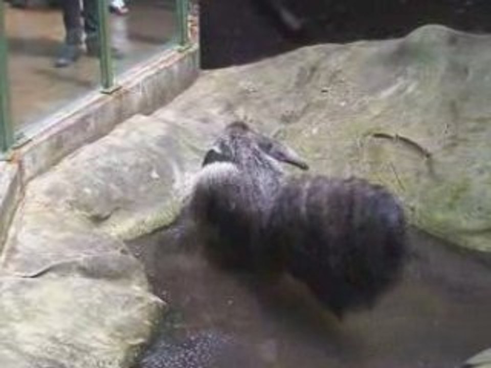 SERRE AMAZONIENNE DE MONTPELLIER