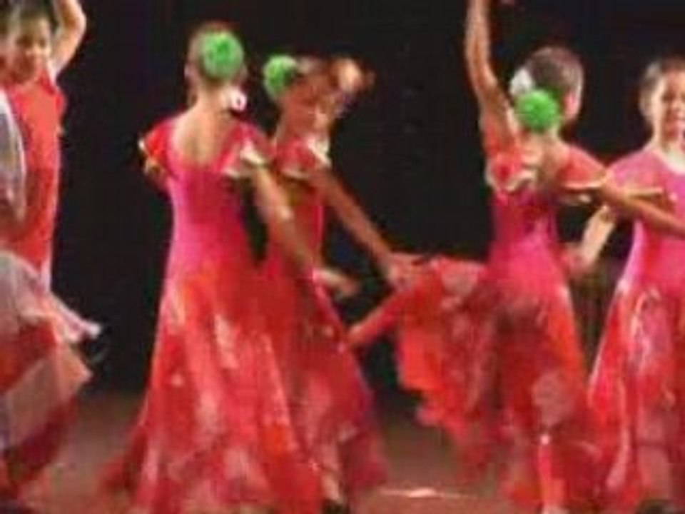 Flamenco 2008_06_30_14_43_10