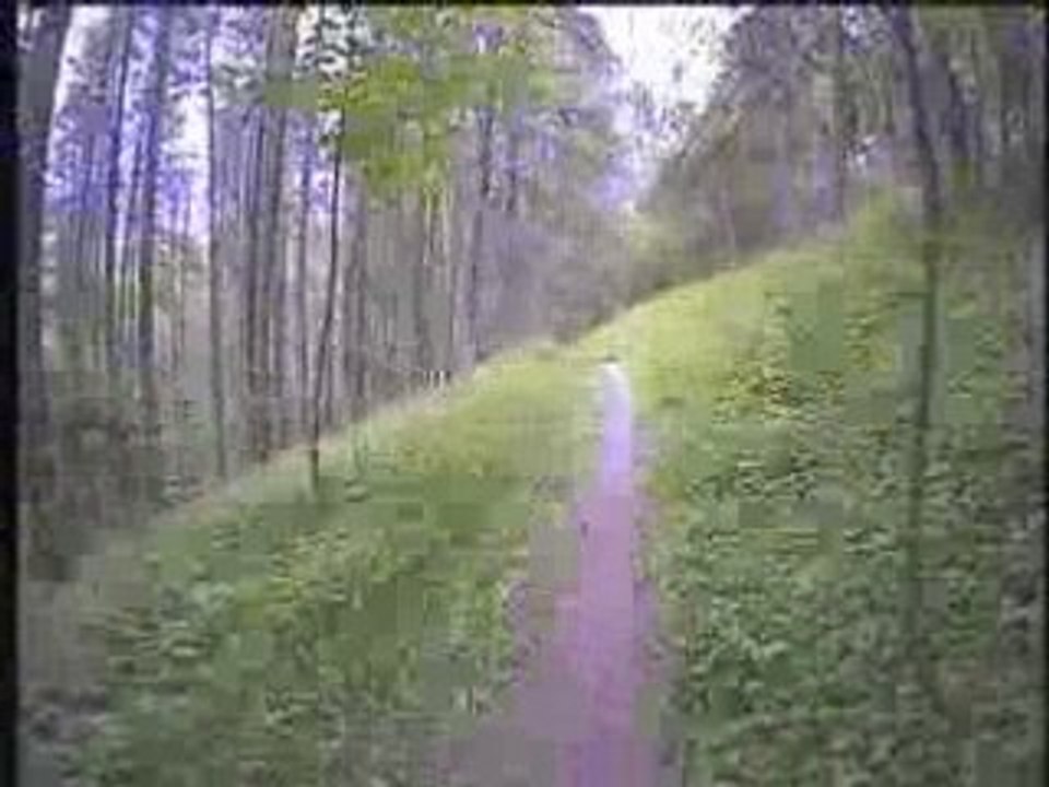 Tribe 10000 samedi apres midi 2