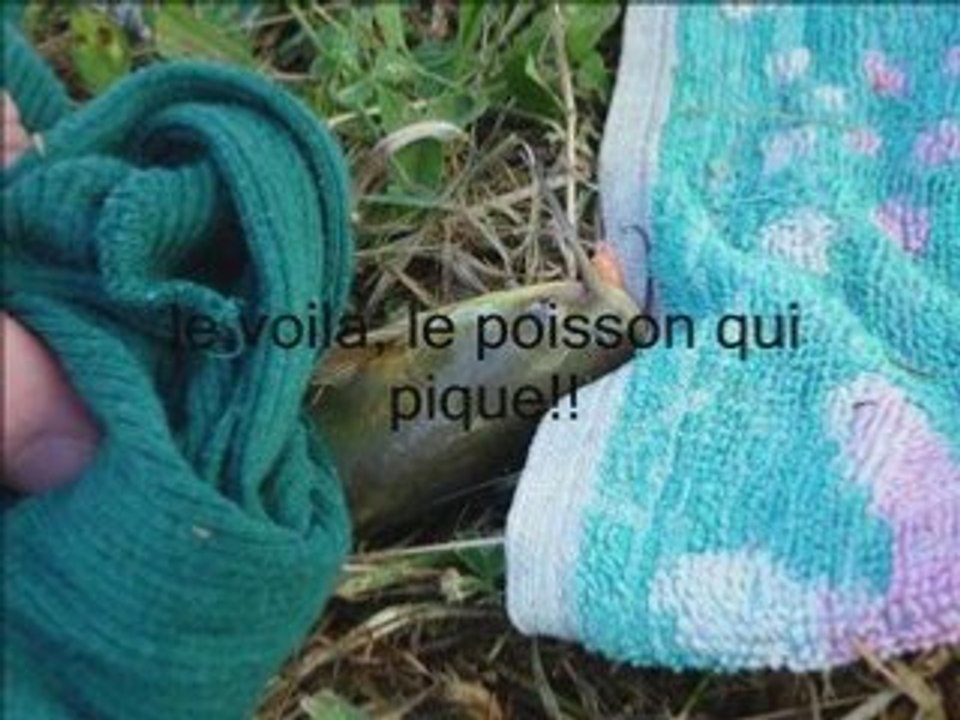 Photo Récit1_1