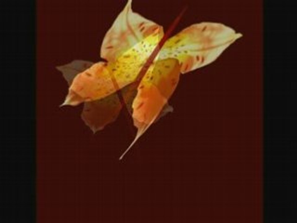 Transformation , Mutation , Evolution