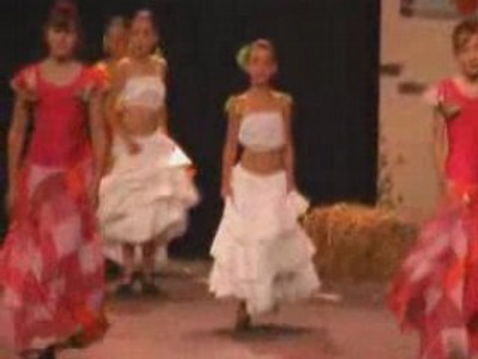 Flamenco 2008_06_30_14_45_58