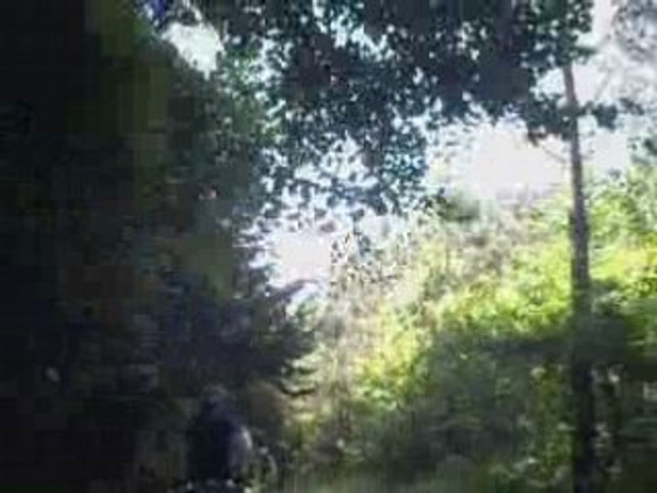 Rando VTT de la Roche Pozay 2008 (2)