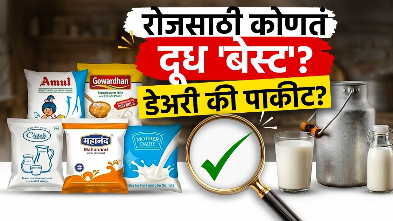 रोजच्या वापरासाठी चांगलं दूध कोणतं? | Which mil...