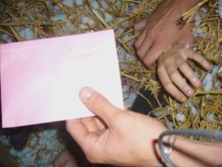 ANNIF STEPH SEB ET BIBI