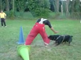 boyd a l'entrainement (ring )