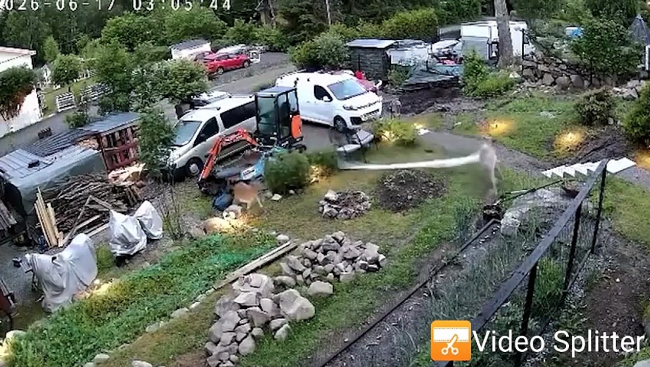 Compilation de vidéos drôles du quotidien (Funny daily videos )