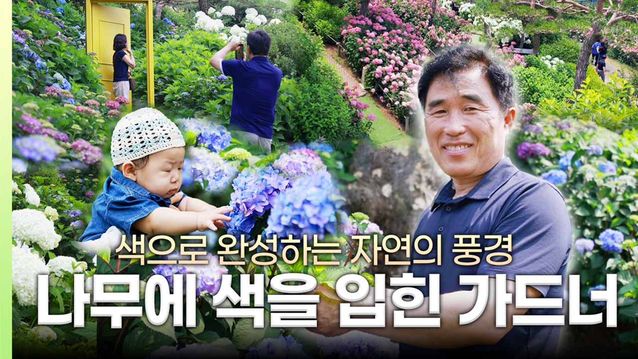 [나는 가드너다] "여기 청주 도심 맞나요?" 빌딩 숲 사이 숨겨진 '도심 오아시스'...