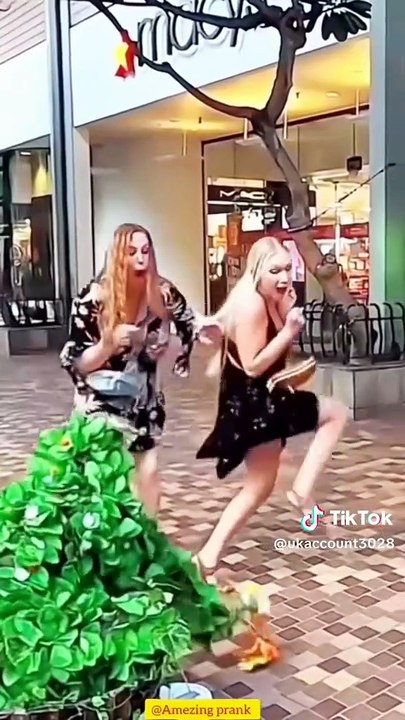 Trees prank in public