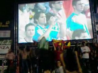 drapeau du raja a l'euro 2008