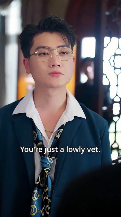 I‘m Just a Vet