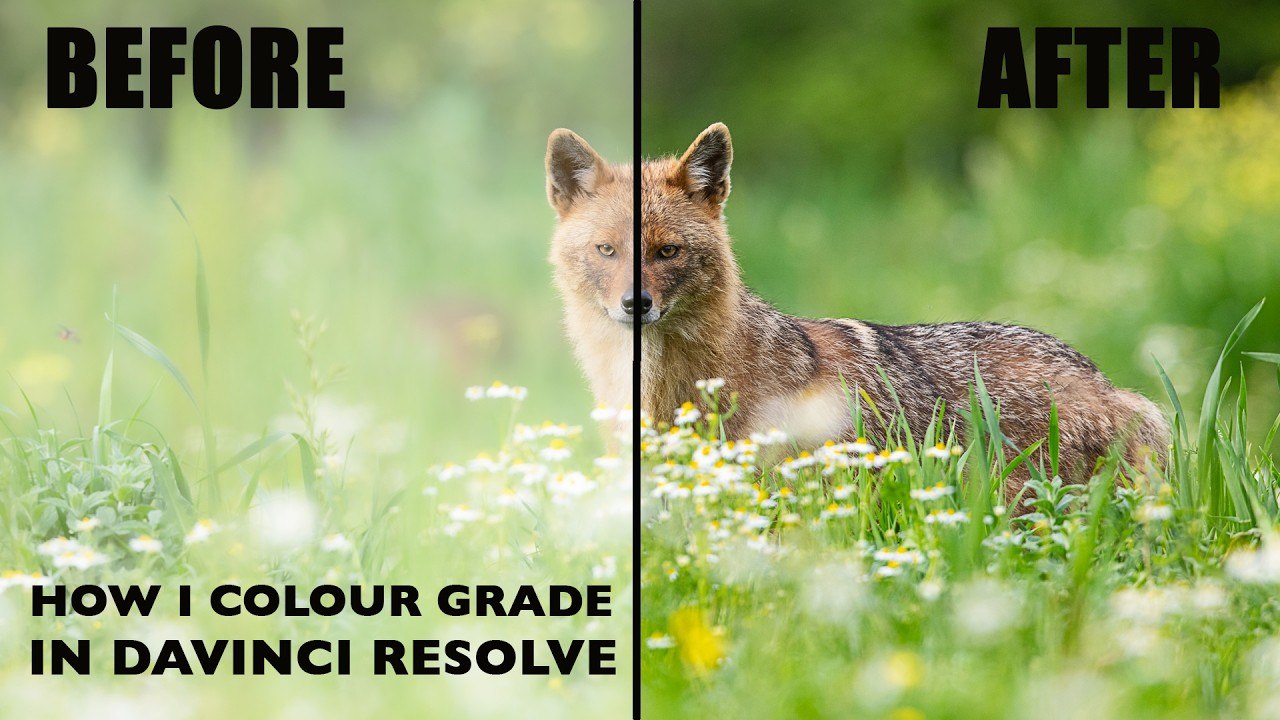My colour grading process in DaVinci Resolve