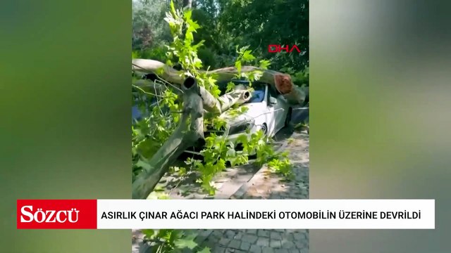 Bakırköy'de asırlık çınar ağacı park halindeki otomobilin üzerine devrildi