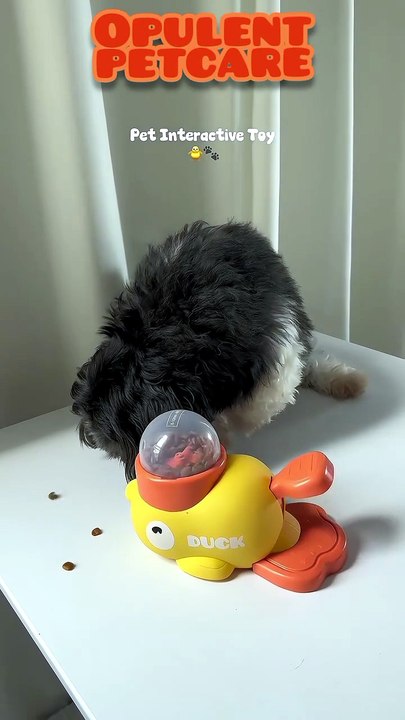 Duck Feeder Toy