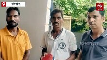 कुएं के अंदर नागलोक! मंदसौर में रेस्क्यू में निकले 20 कोबरा सांप, थर्रा उठा इलाका