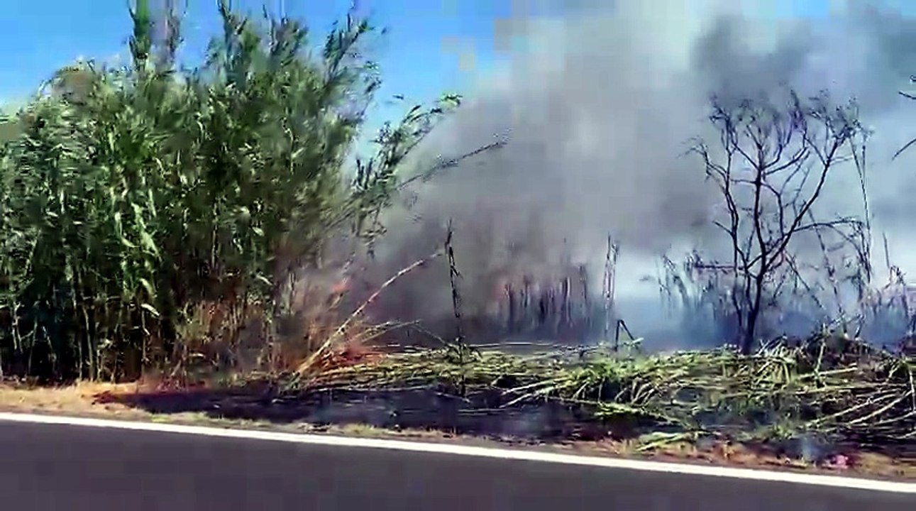 Fiamme vicino allo stagno di Platamona, in volo l?elicottero della Forestale