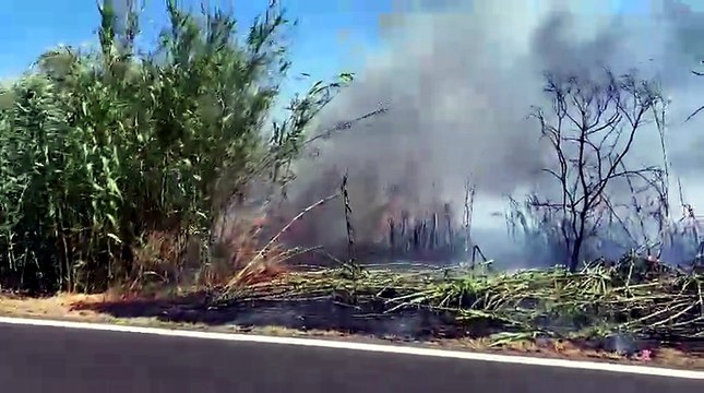 Fiamme vicino allo stagno di Platamona, in volo l?elicottero della Forestale