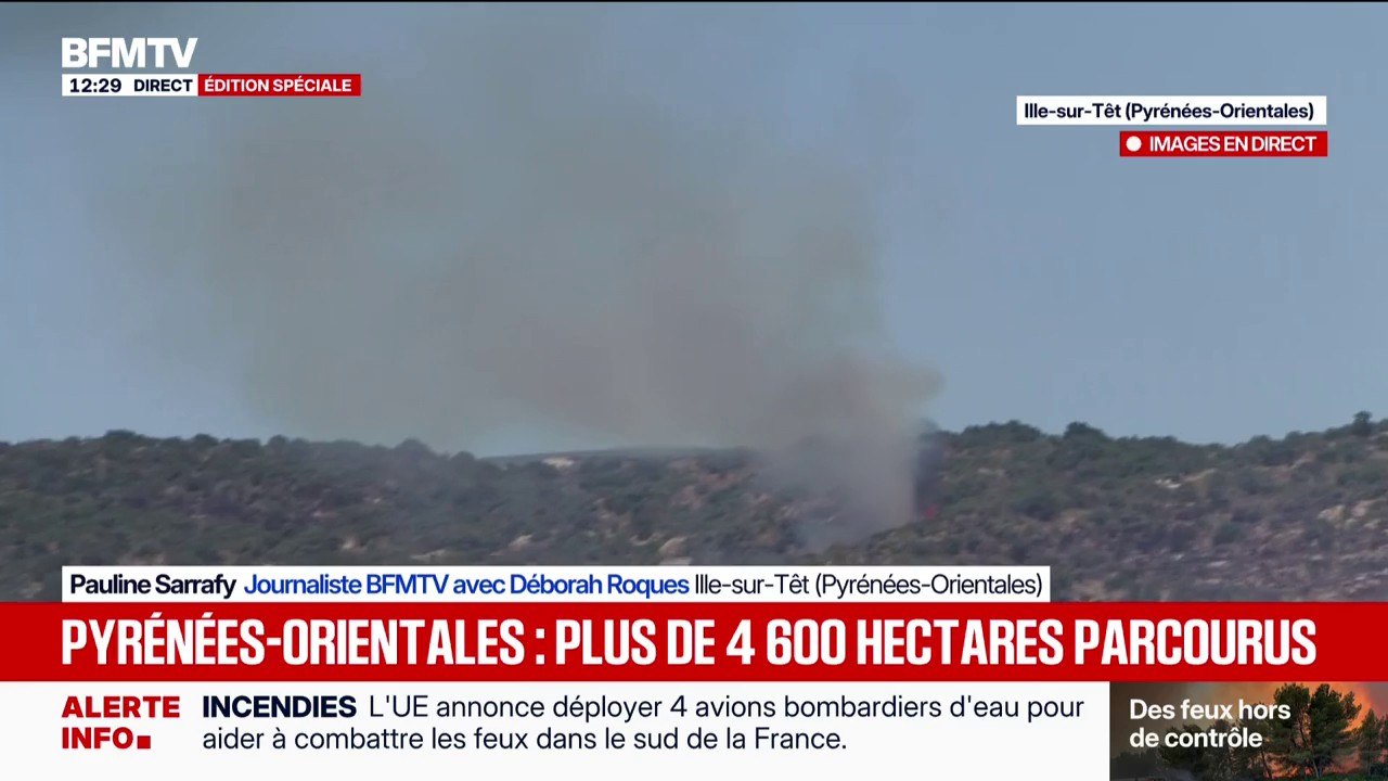 Incendies dans les Pyrénées-Orientales: des reprises de feu toujours visibles