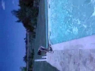 les baleines en folie