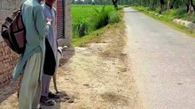 Viral video