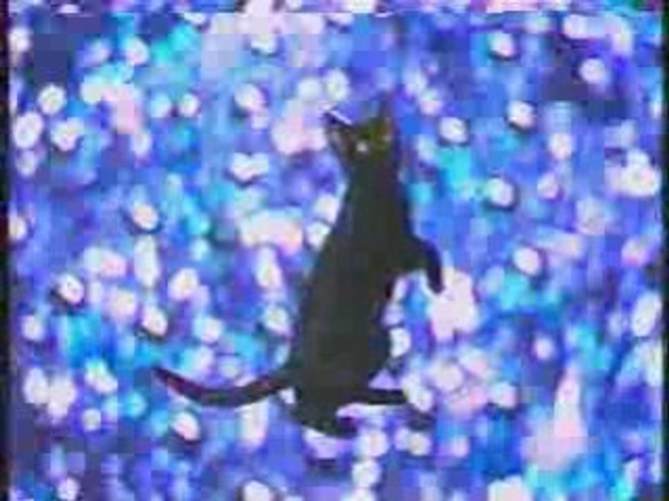 Merry christhmass by cats