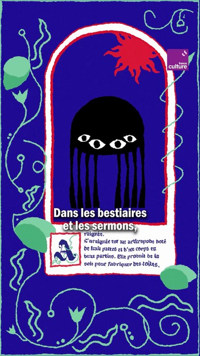L'araignée - Série d'été