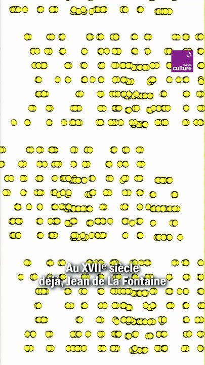 La mouche - Série d'été