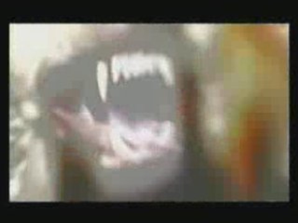 Rabah les croqs (15 piges)