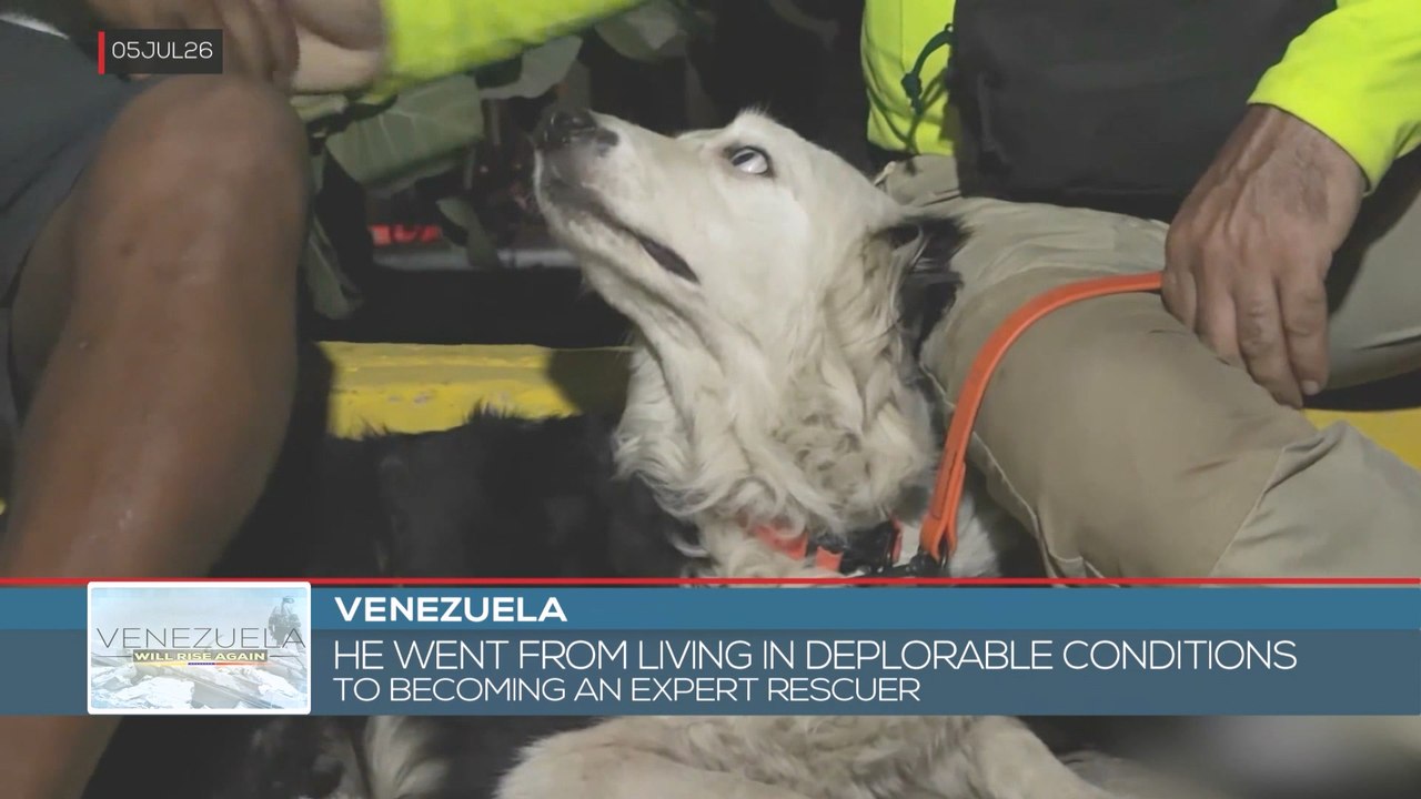 Venezuela | "Tsunami": Rescue dog turned national hero