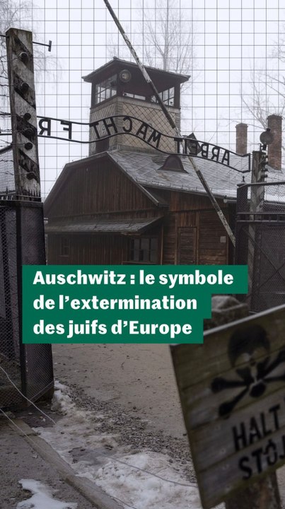 Thème 3 - Vidéo verticale - Qu’ont découvert les Soviétiques en arrivant à Auschwitz il y a 80 ans ? Comprendre en trois minutes -  CONCLUSION
