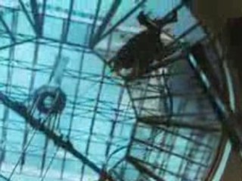 James Bond Quantum of Solace - teaser trailer