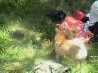 Junko, shoggun et hiroshi