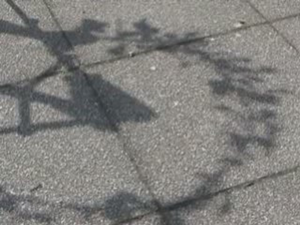 Ombre(s) : clip clap 21 FVS