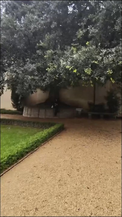 Je vais te dire un truc qui va te faire du bien.❤️