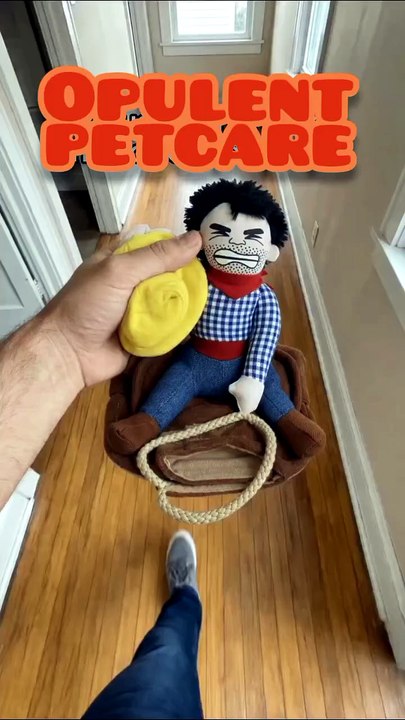 Pet Cowboy Costume for Dogs – Funny Rider Halloween Outfit