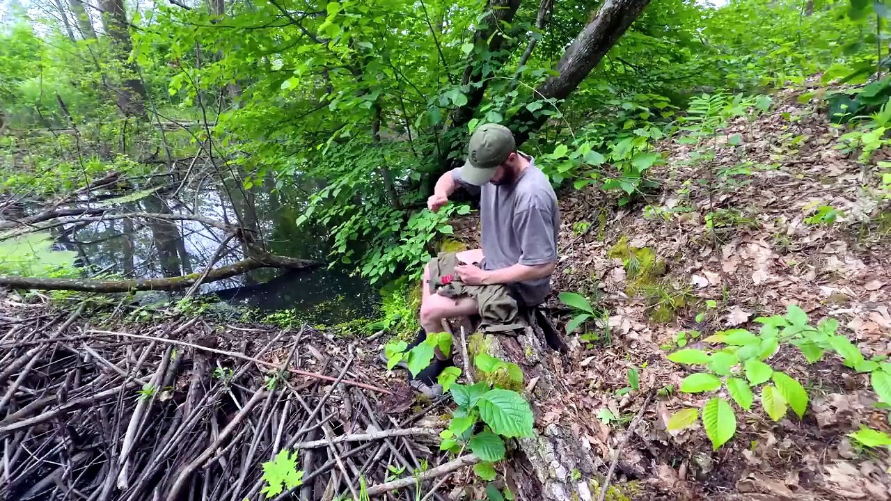 Building a Hidden Underground Survival Shelter in the Forest | Off-Grid Bushcraft Bunker Build (USA)