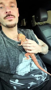 Matt Pokora s'affiche avec son lézard de compagnie.