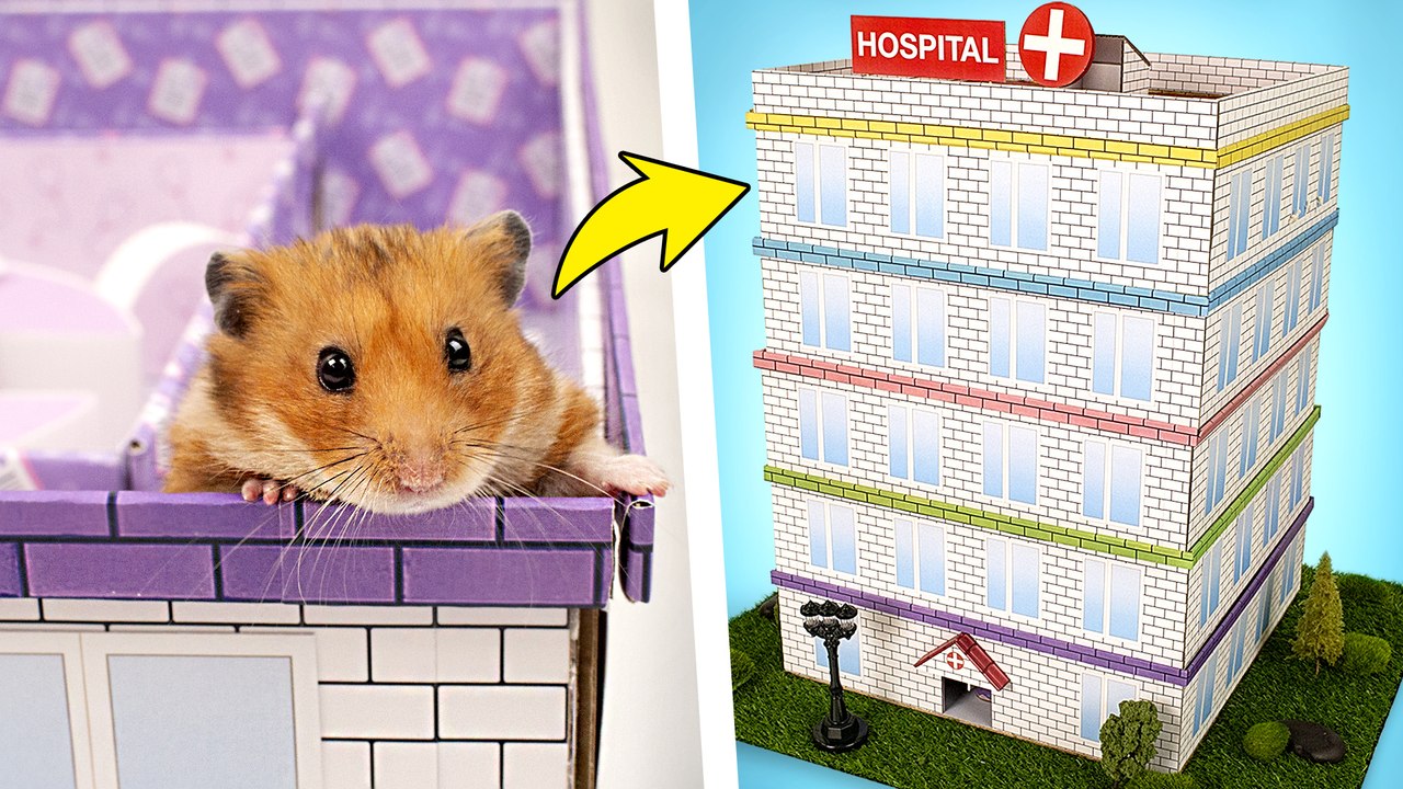 Hôpital-Labyrinthe 5 Étages Pour Hamster DIY 🐹🏥❤️