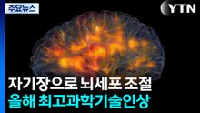 자기장으로 뇌 신경세포 조절...올해 최고과학기술인상 선정 / YTN