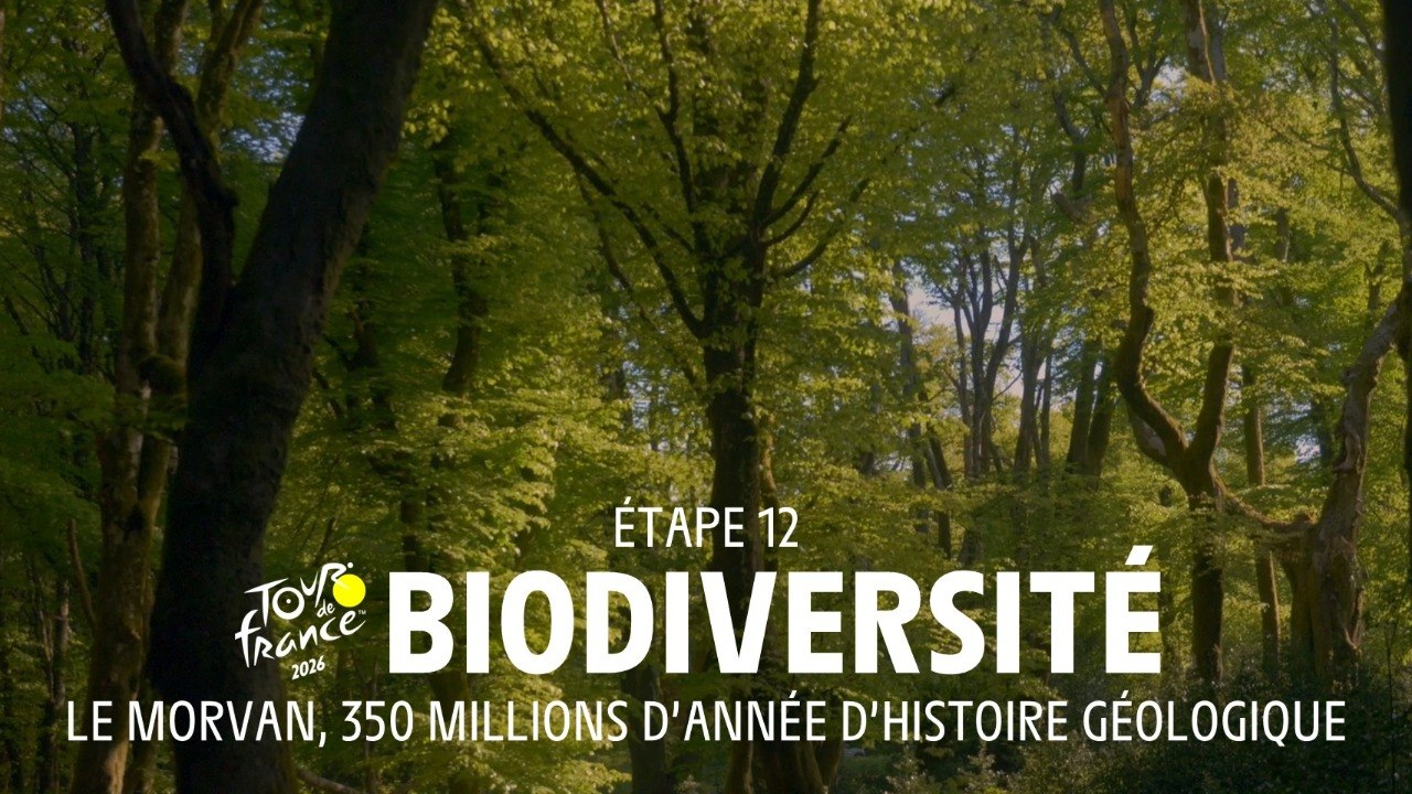 Le Morvan : 350 millions dannées d'histoire géologique - Tour de France 2026