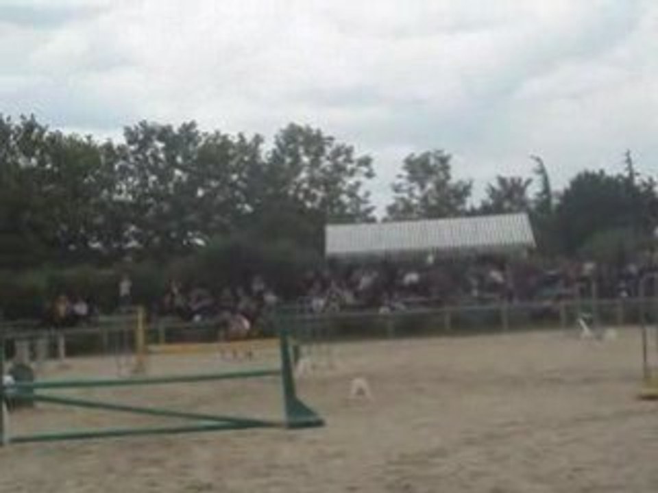 Nimbus &&. mwa à la finale du challenge