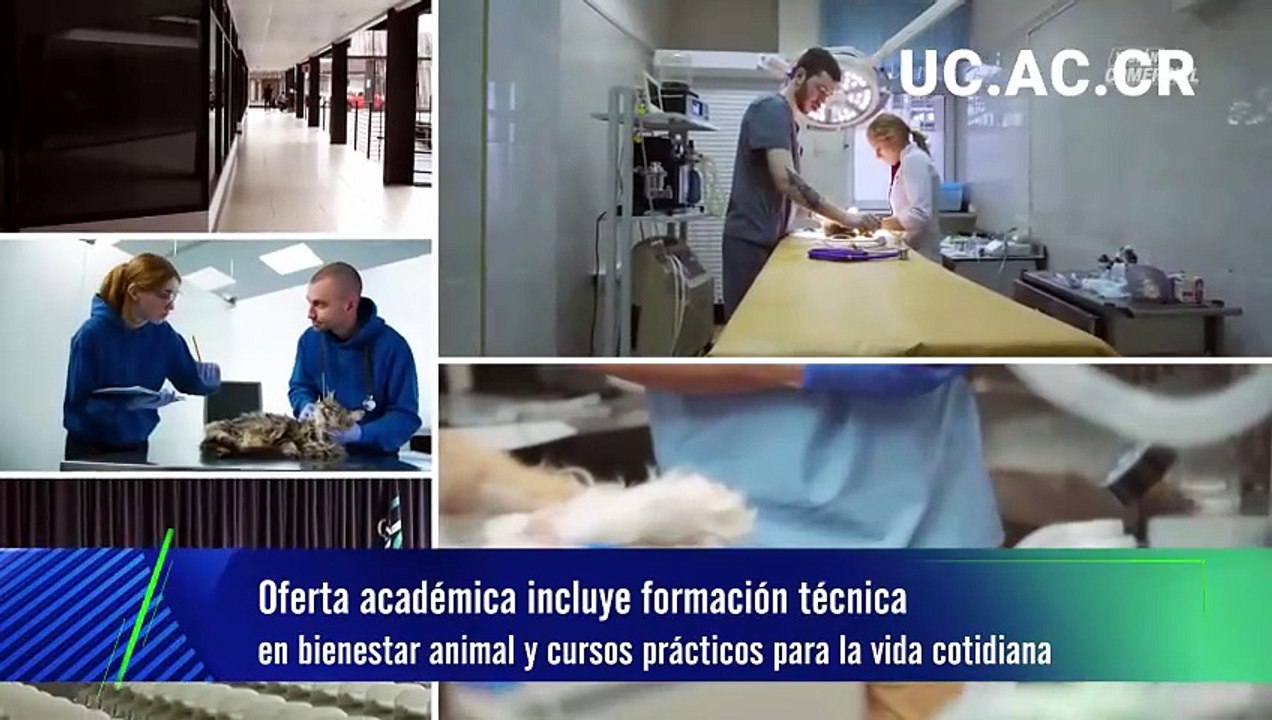 ext-publireportaje-u-central-270426 [Full Movie]