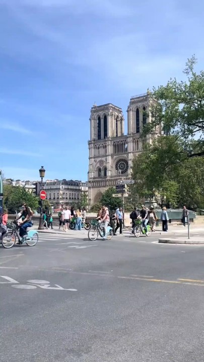 Notre-Dame de Paris 🇫🇷 | Cathédrale ✨