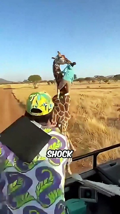 UNBELIEVABLE Rare Animal Moments Caught on Camera! 😱📸 Nature's Most WILD Encounters