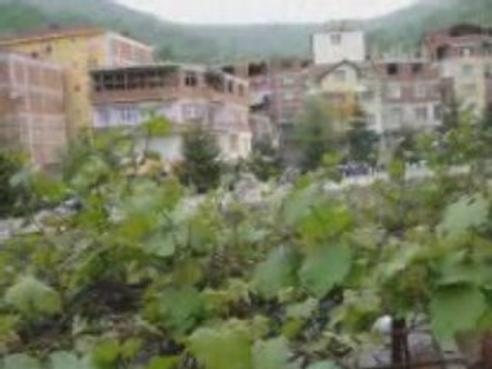 ordu ili kabataş ilçesi