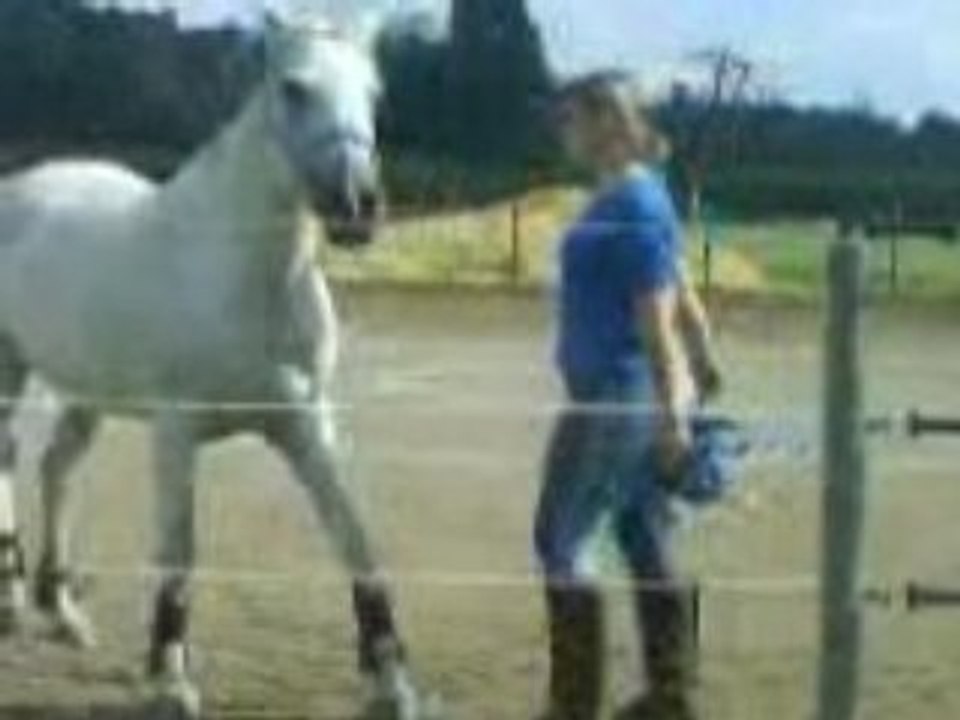 vive la liberté é vive lui