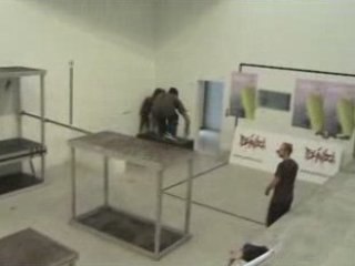 Exhibicion FUSK2 Poliniza mayo 2008