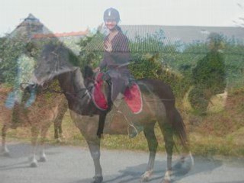 Dimanche 29 juin